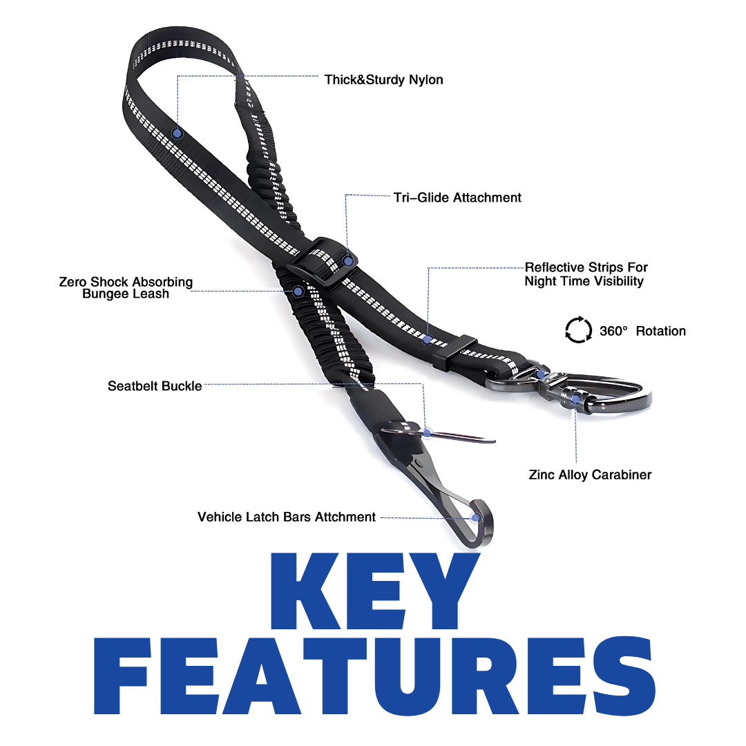 Premium Seatbelt clip