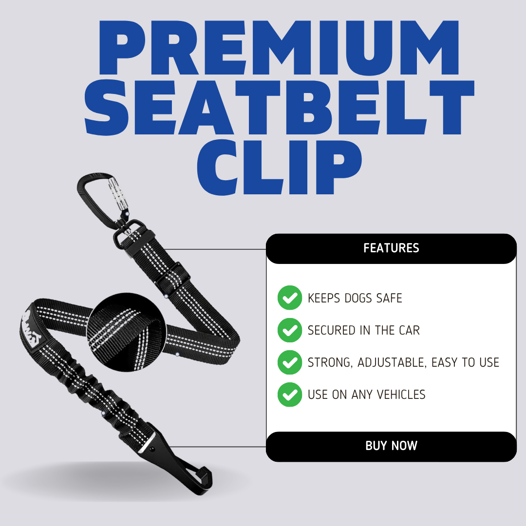 Premium Seatbelt clip