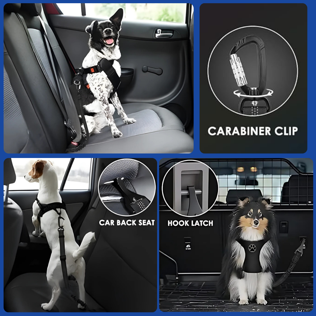 Premium Seatbelt clip