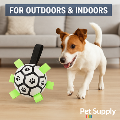 Dog Soccer Ball with Grab Tabs