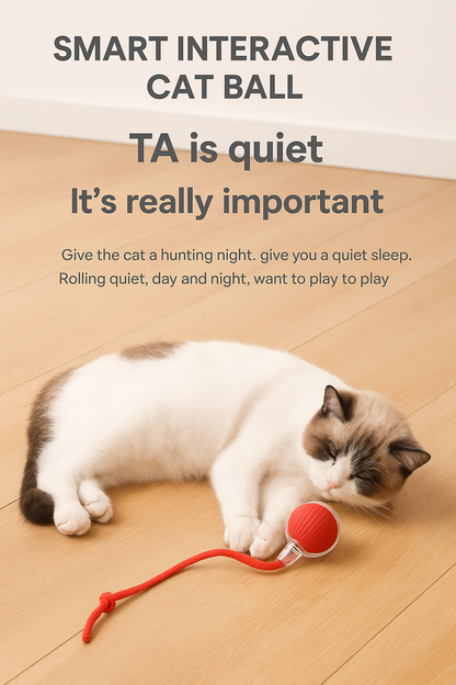 2PC Pet Interactive Ball Toys Automatic Rolling Ball