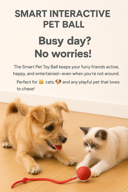 2PC Pet Interactive Ball Toys Automatic Rolling Ball