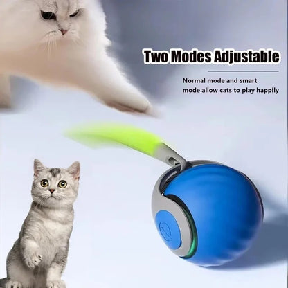 Smart Electric Cat Toy